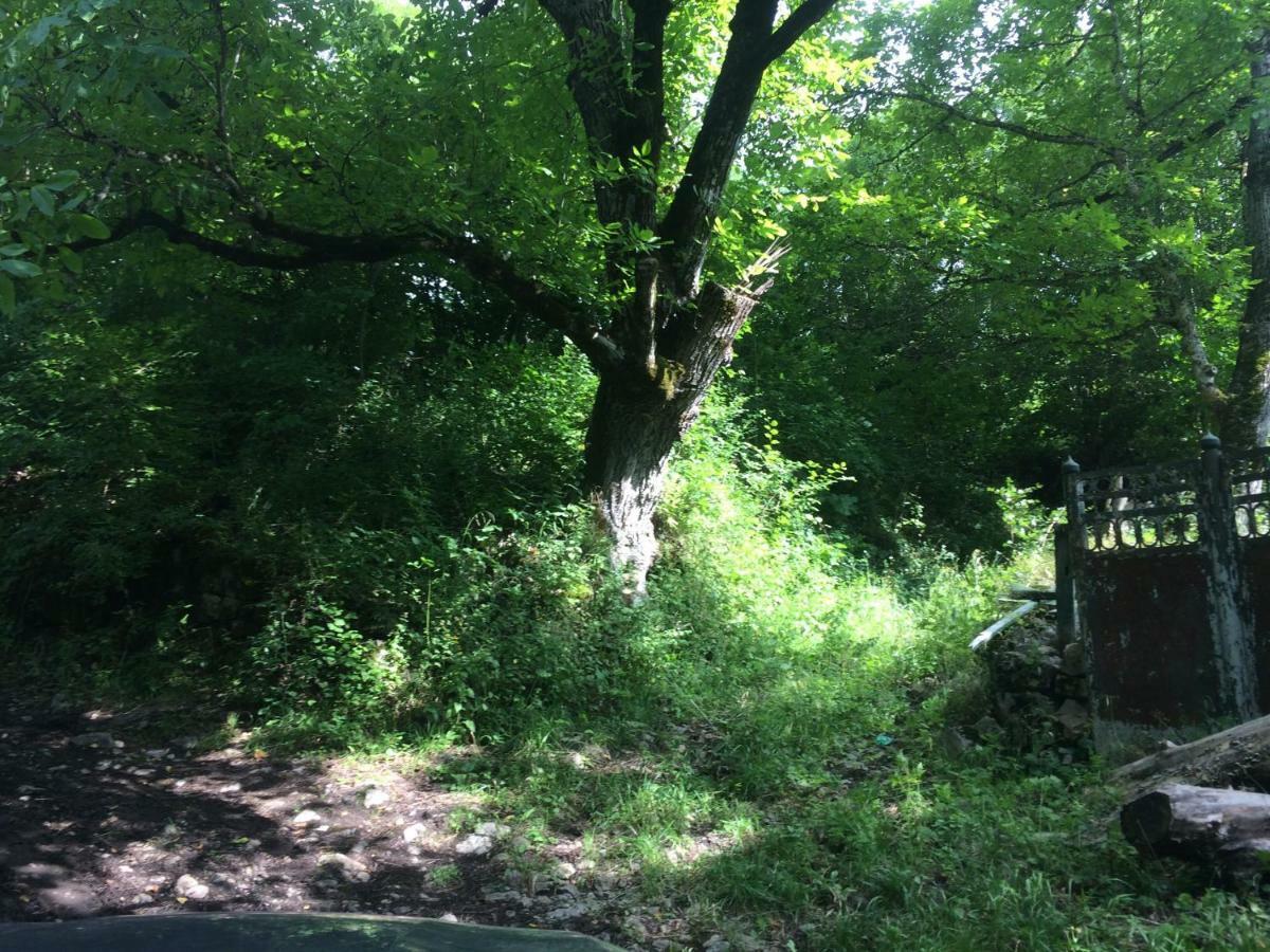 אמברולאורי Villa Portina מראה חיצוני תמונה